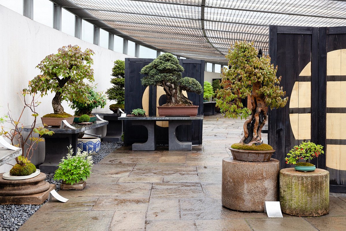 Urban Earth Geschaft -Urban Earth Geschaft crespi bonsai museum
